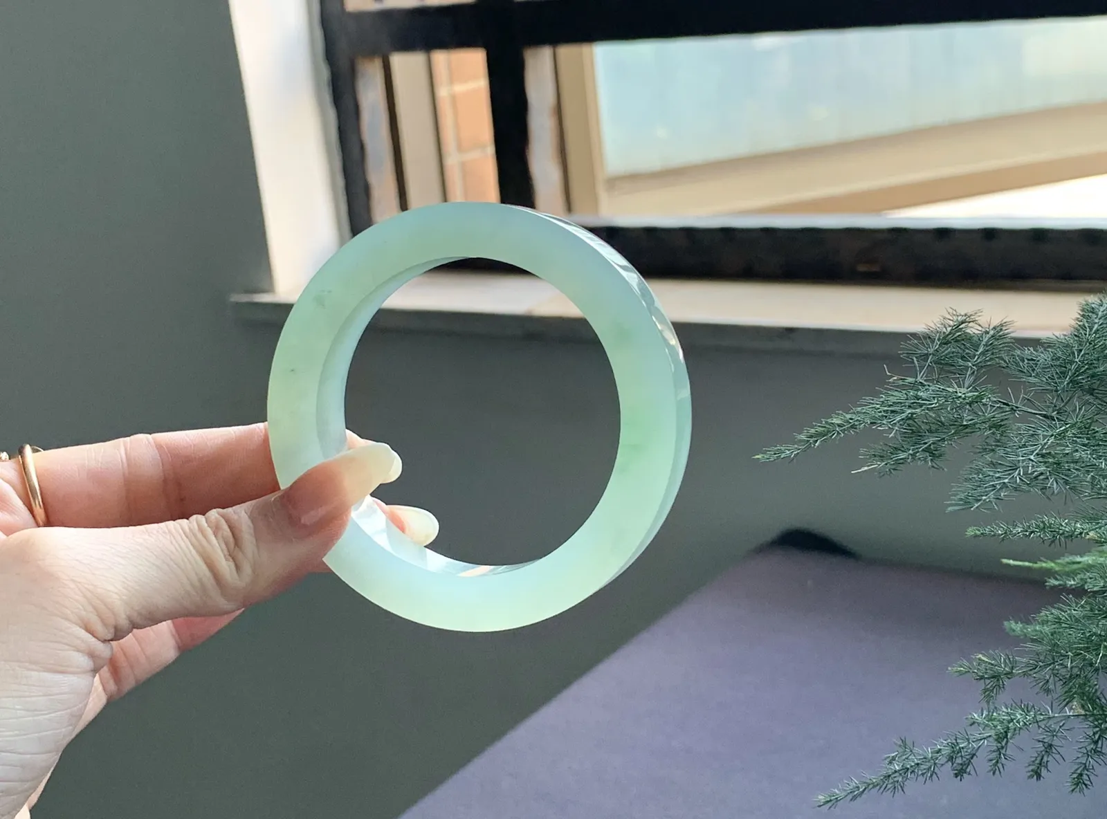 【冰芙蓉绿带花】