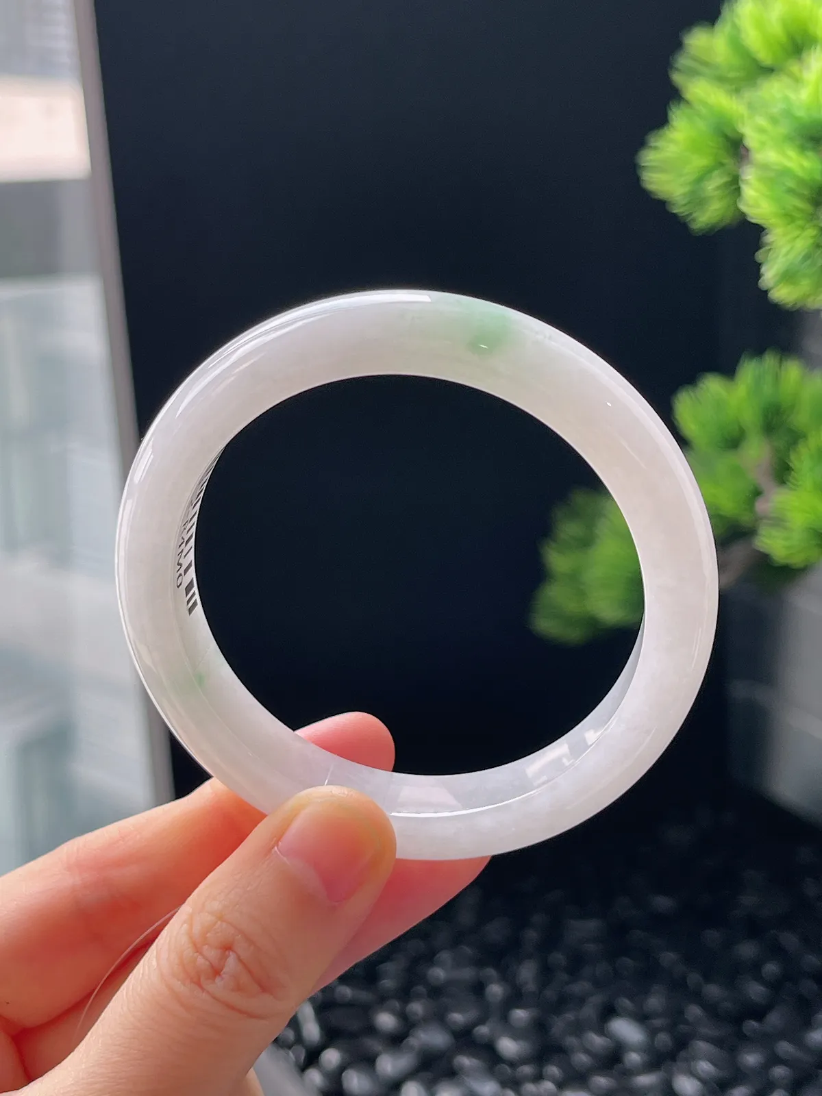 正圈53.6圈口，翡翠糯化种飘花手镯