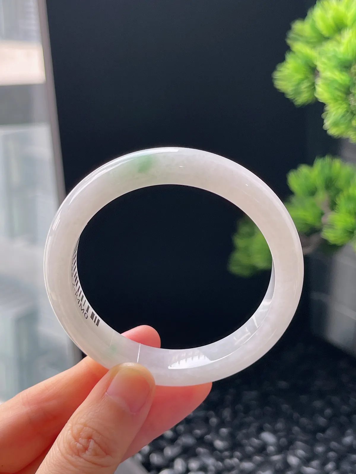 正圈53.6圈口，翡翠糯化种飘花手镯