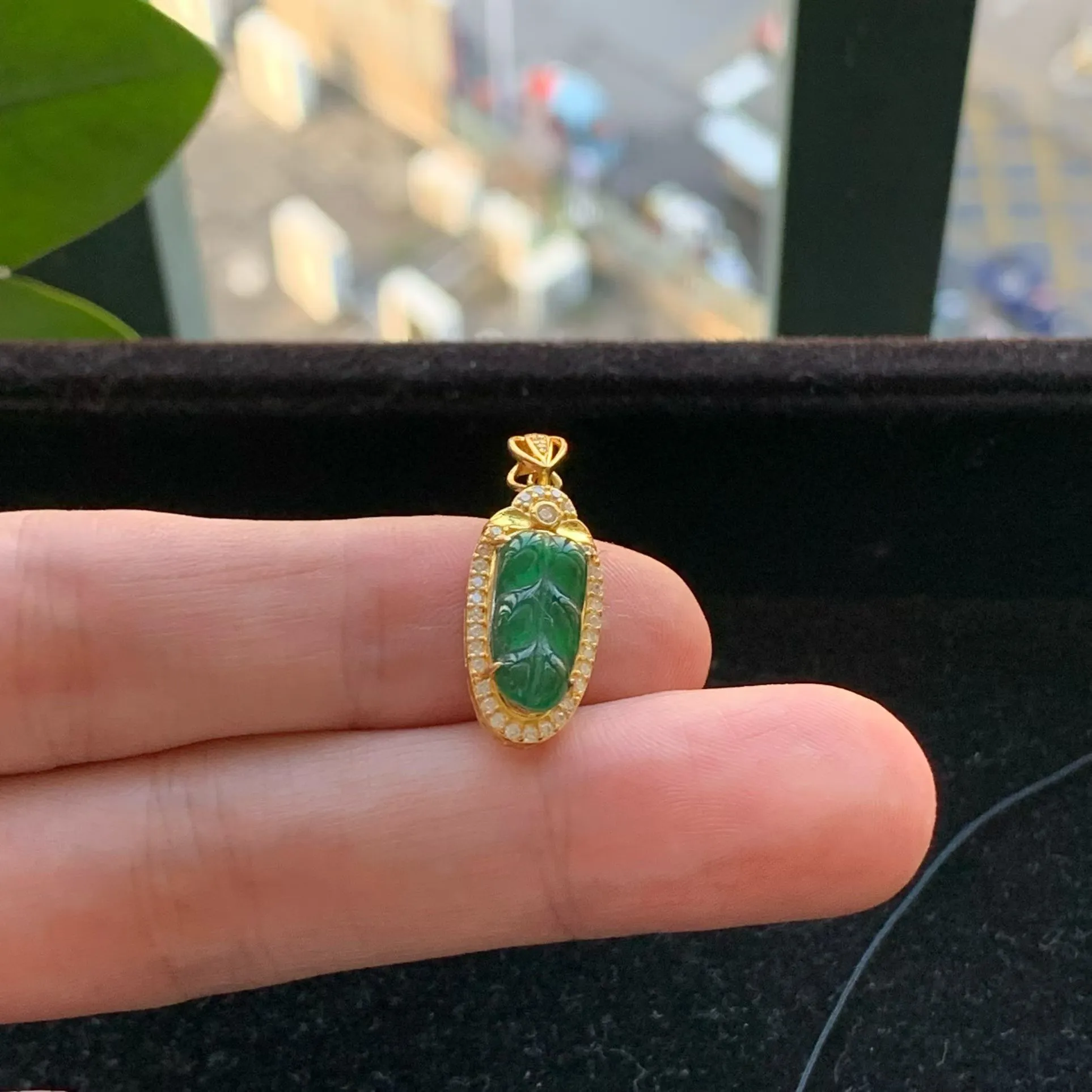 A货天然翡翠冰糯种满绿925银叶子吊坠重量1.42
2月2日