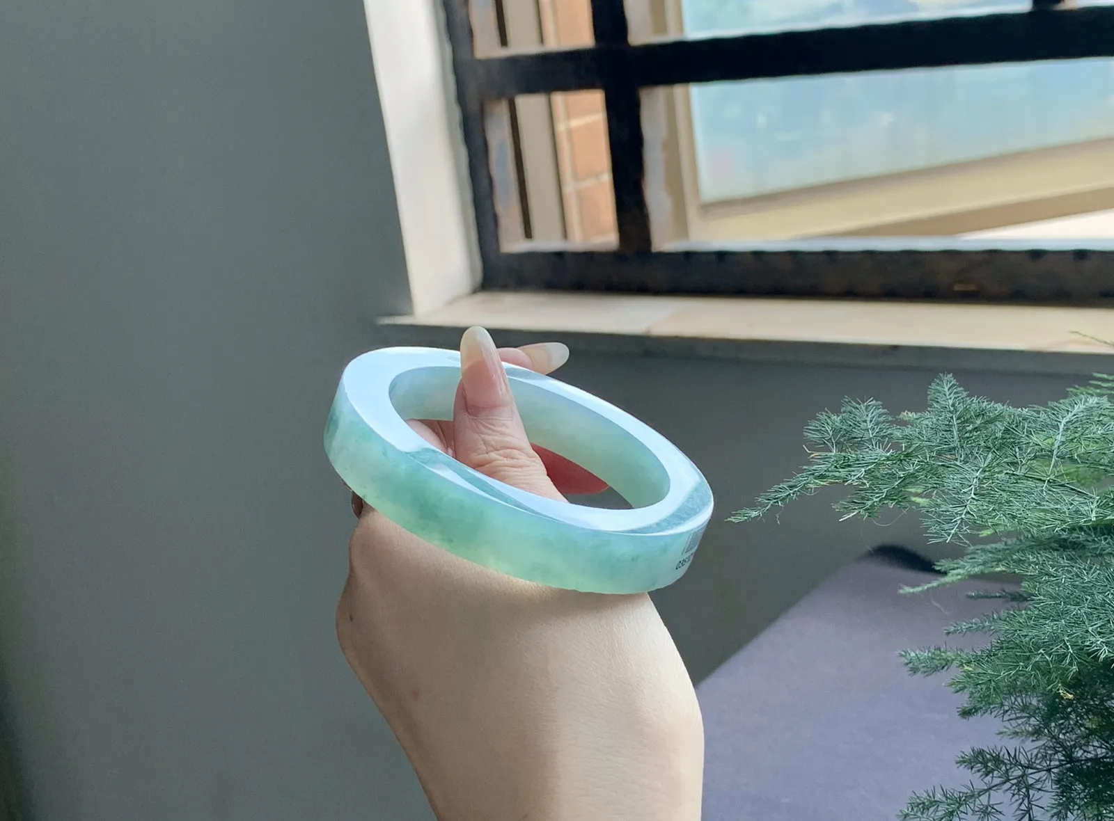 【冰晴蓝带花】