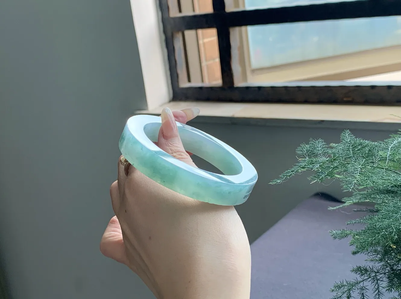 【冰晴蓝带花】