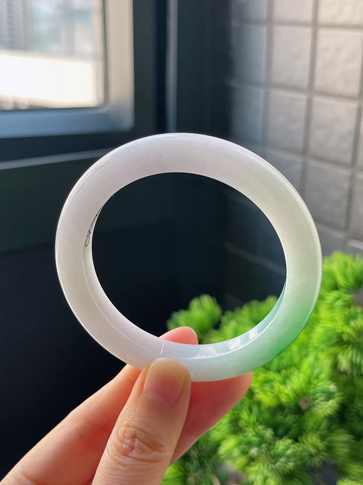 正圈54.3圈口，翡翠糯化种飘绿手镯，白底青