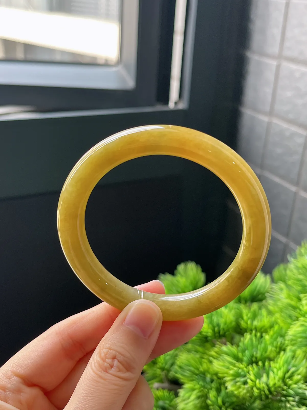 圆镯54.8圈口，翡翠糯化种黄色手镯