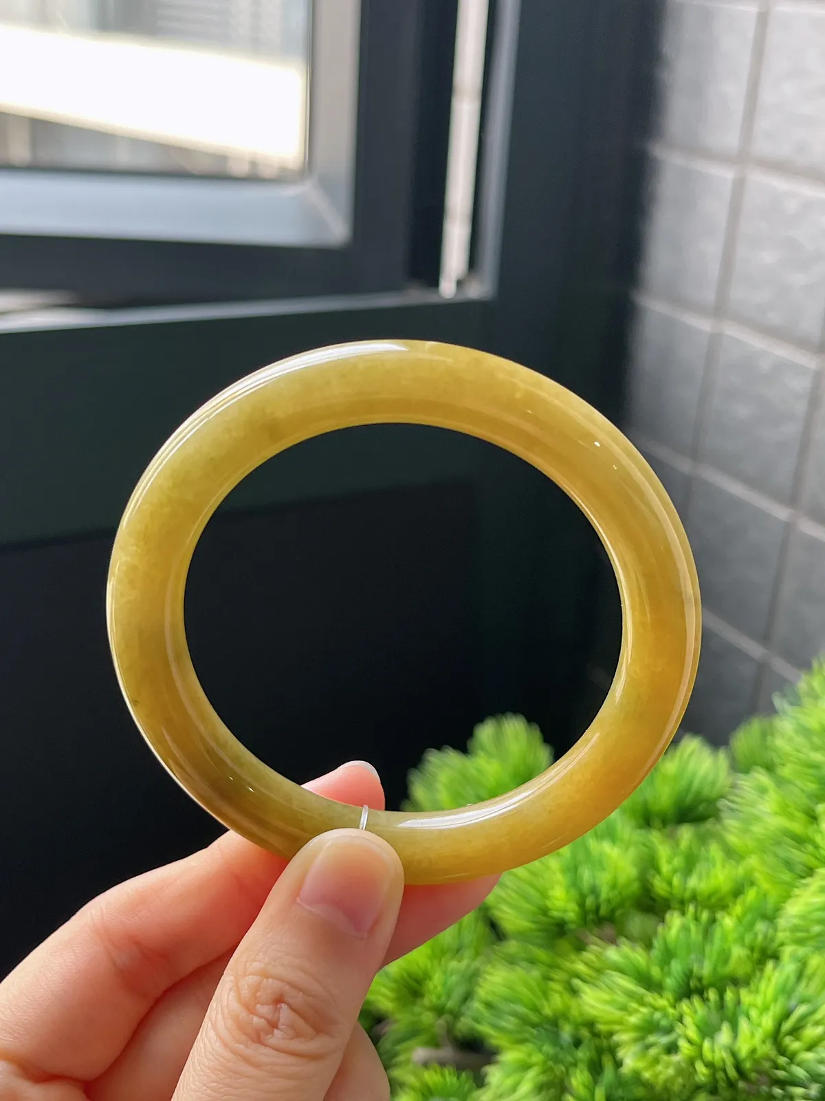 圆镯54.8圈口，翡翠糯化种黄色手镯