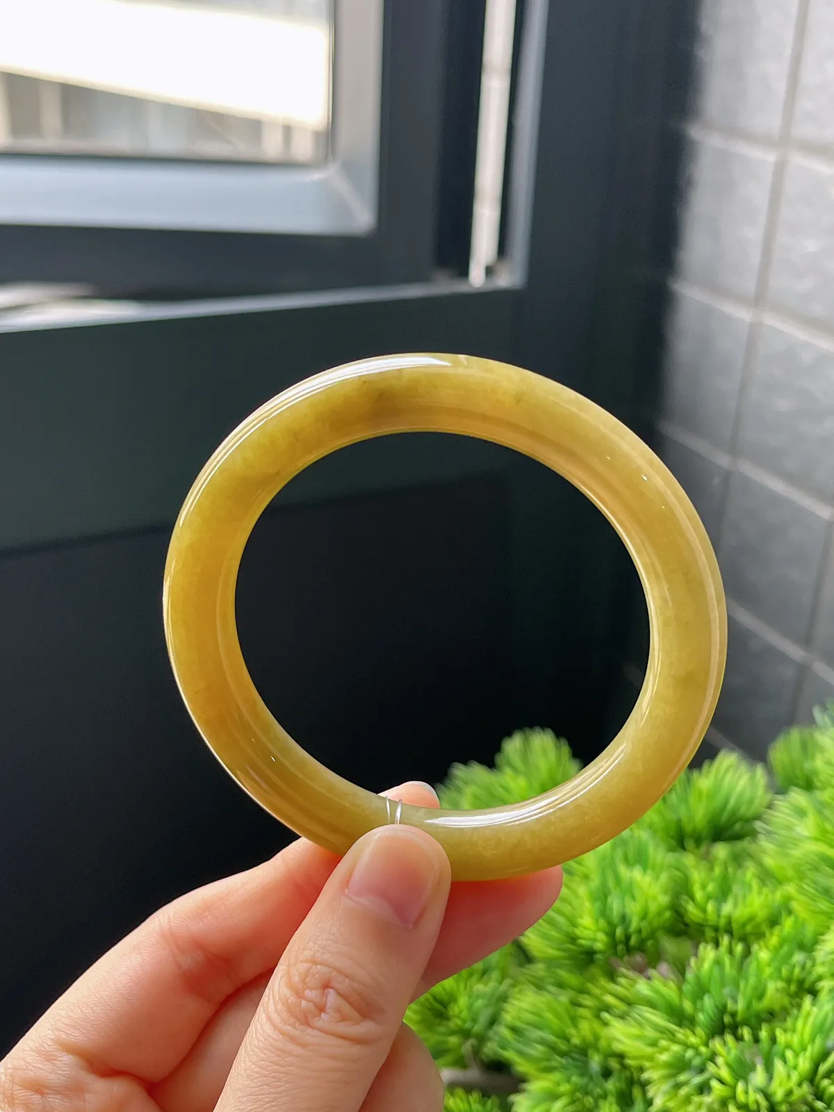 圆镯54.8圈口，翡翠糯化种黄色手镯