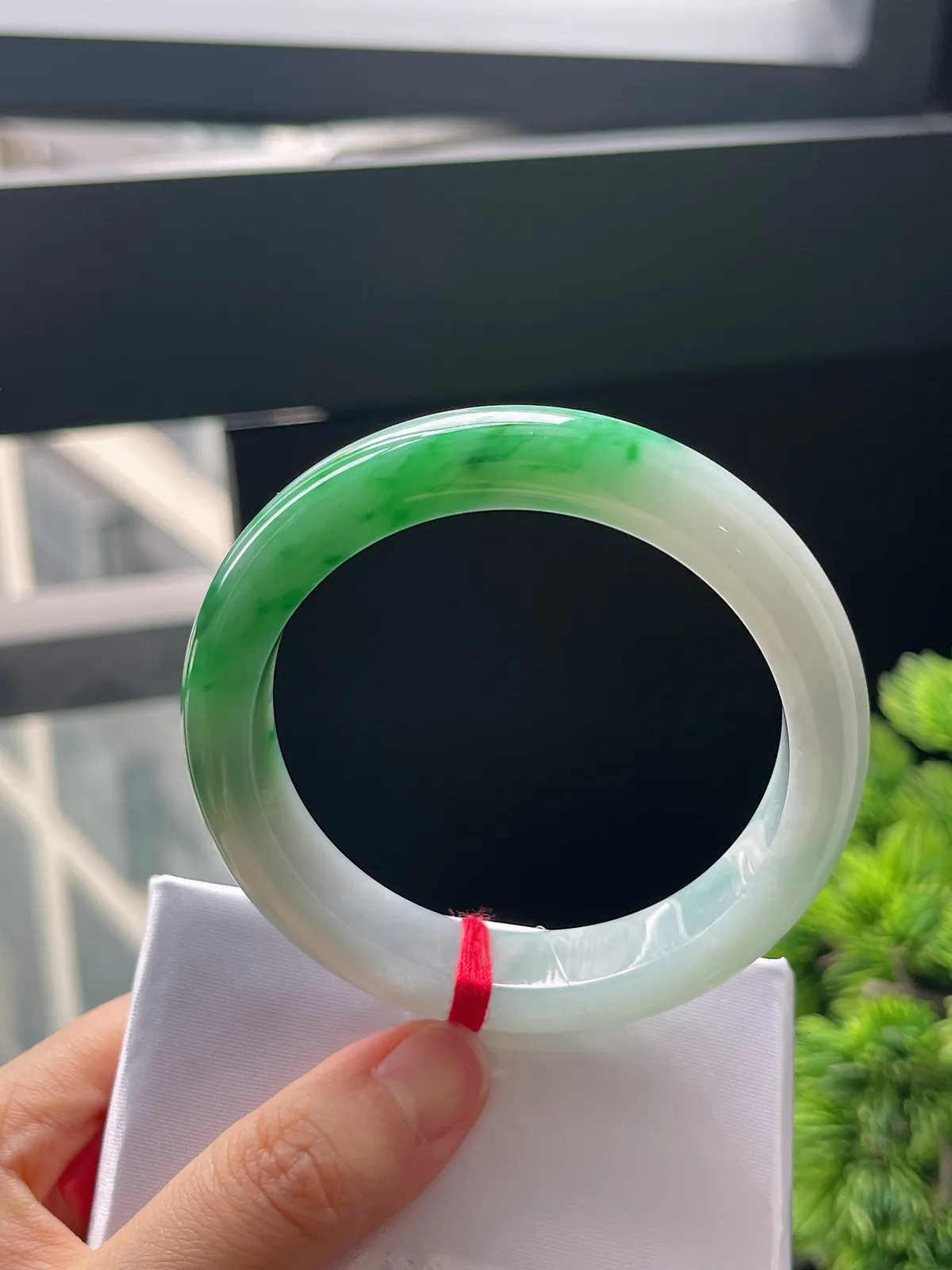 正圈56.6，翡翠白底青手镯