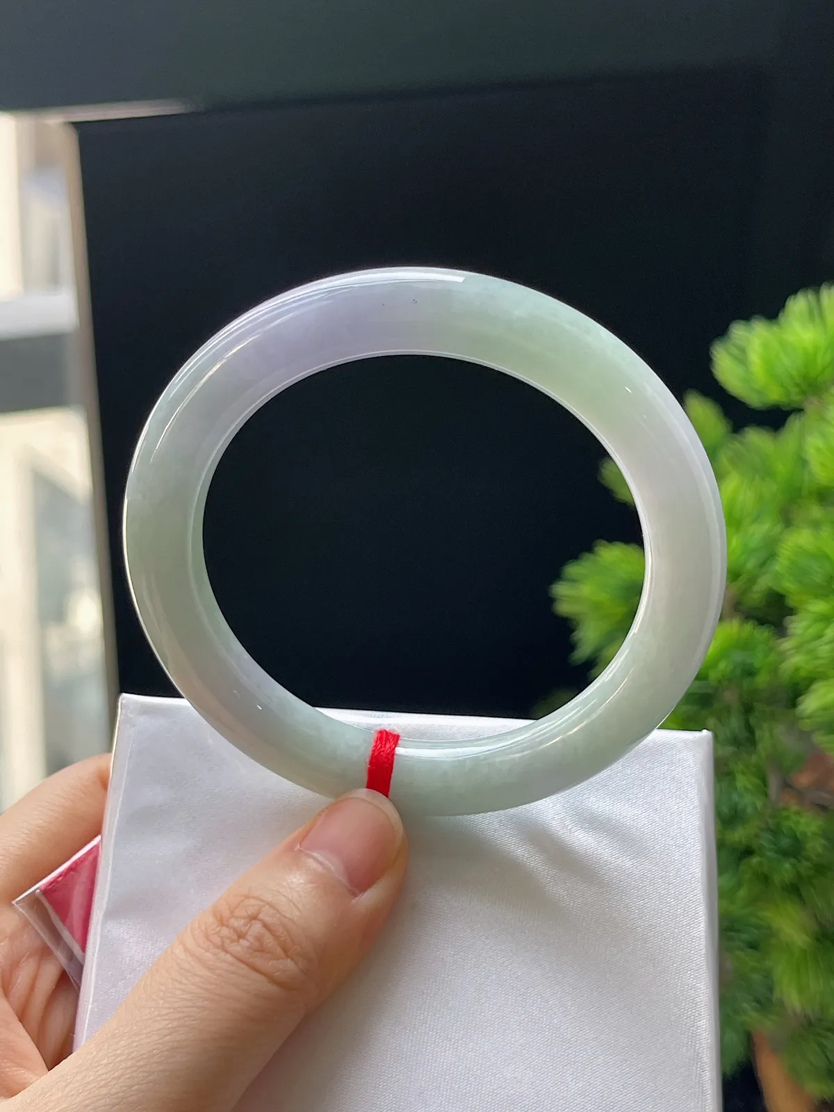 圆镯54圈口，翡翠糯化种春带彩手镯