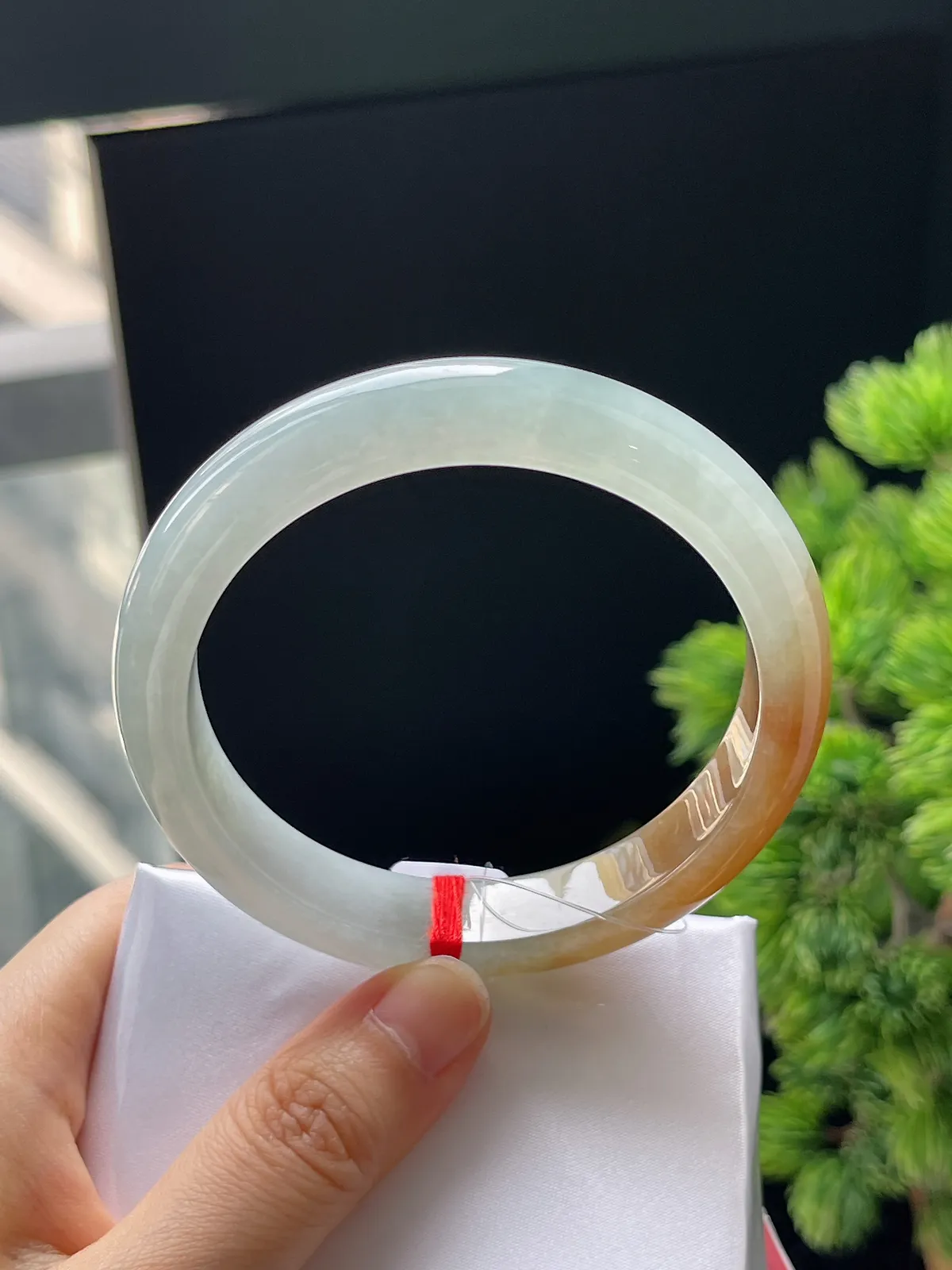 正圈56圈口，翡翠冰糯种飘黄翡手镯