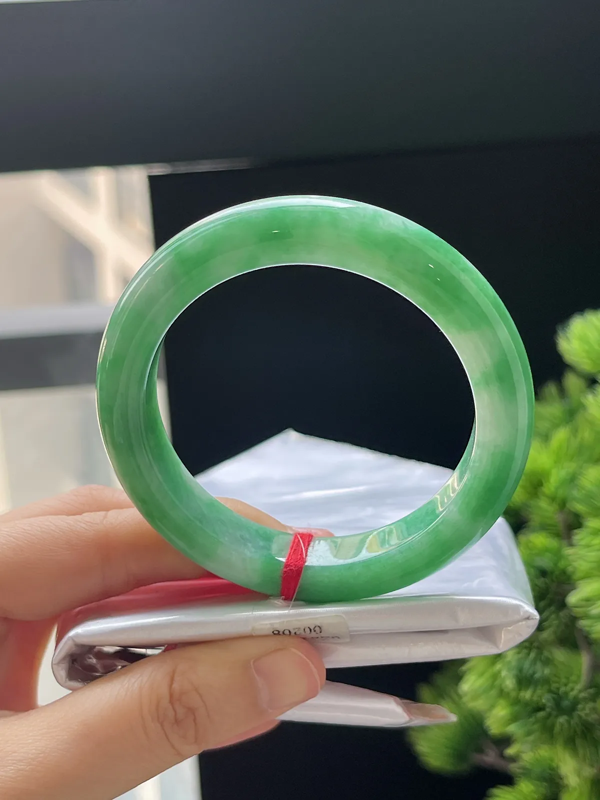 正圈52.8，翡翠糯化种满绿手镯