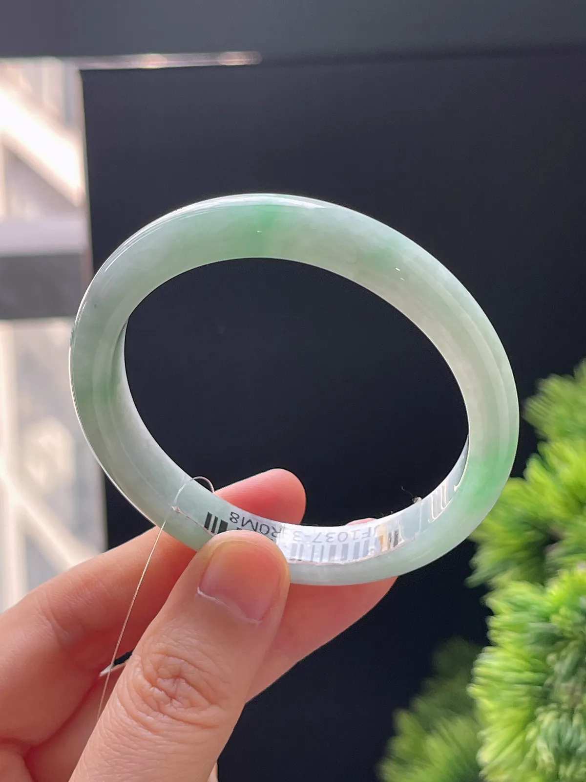 贵妃镯51.9圈口，翡翠糯化种飘绿手镯