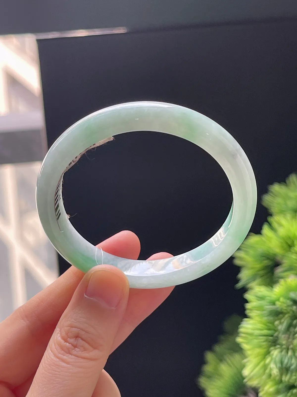 贵妃镯51.9圈口，翡翠糯化种飘绿手镯