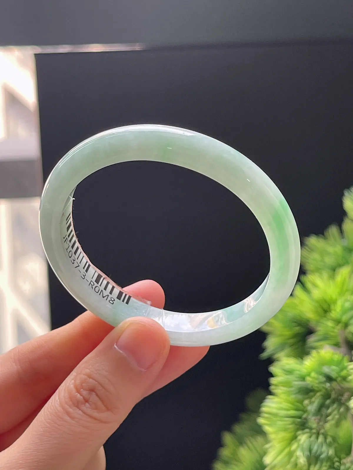 贵妃镯51.9圈口，翡翠糯化种飘绿手镯