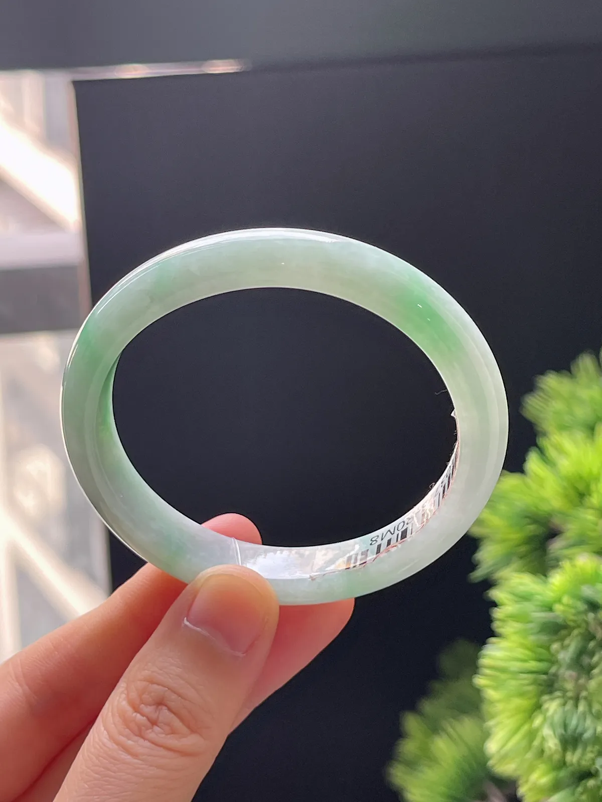 贵妃镯51.9圈口，翡翠糯化种飘绿手镯