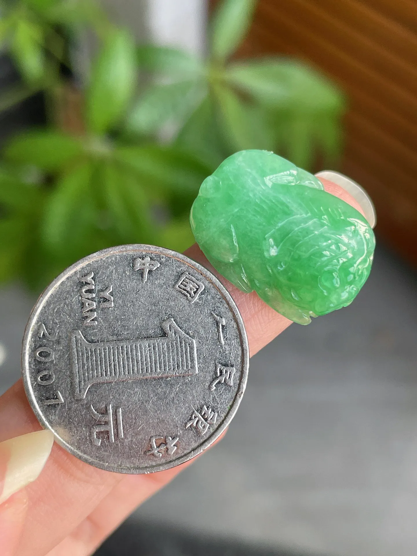 冰胶绿貔貅裸石
尺寸20.6-15-7.3m