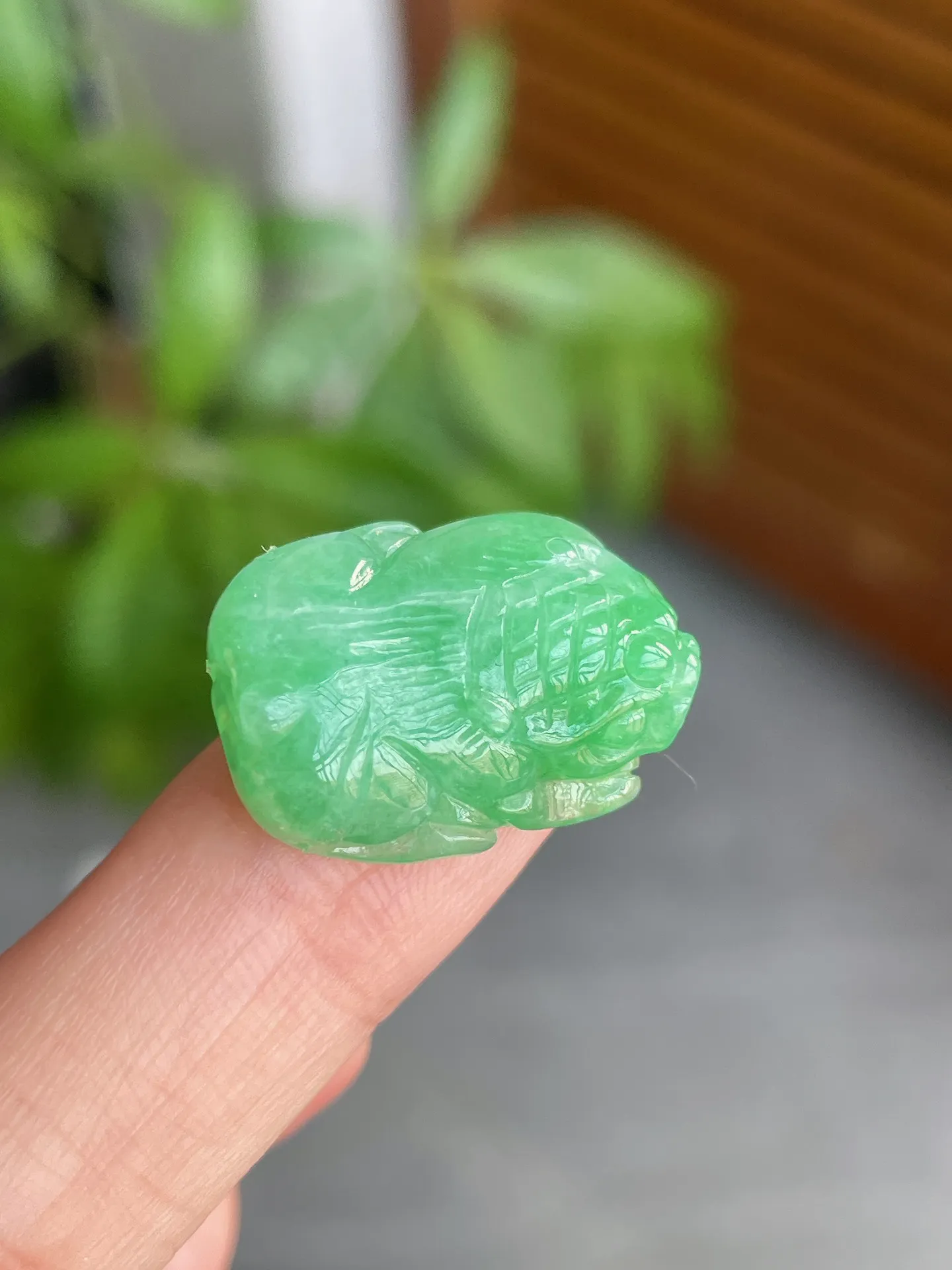 冰胶绿貔貅裸石
尺寸20.6-15-7.3m