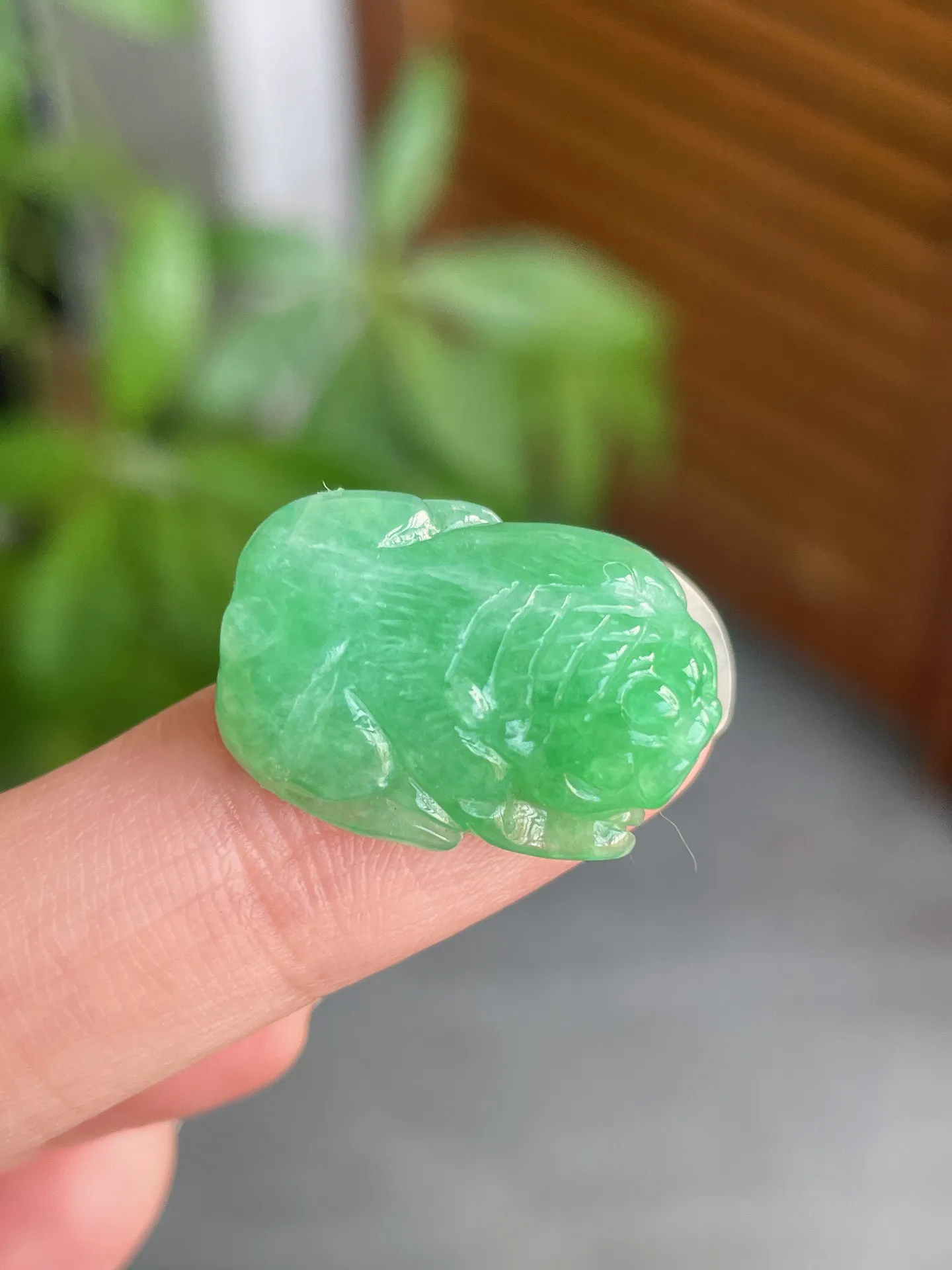 冰胶绿貔貅裸石
尺寸20.6-15-7.3m