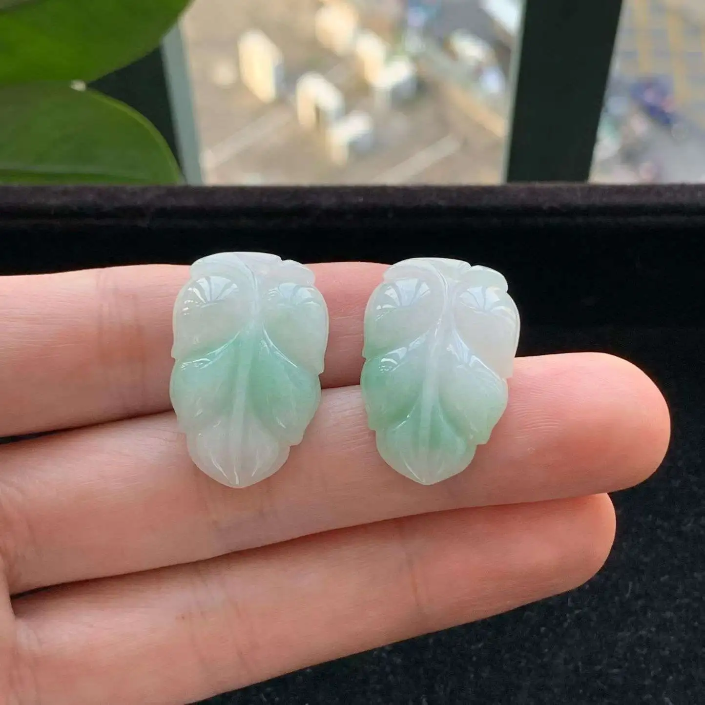 A货天然翡翠冰糯种飘绿一对叶子吊坠重量4.95
3月4日