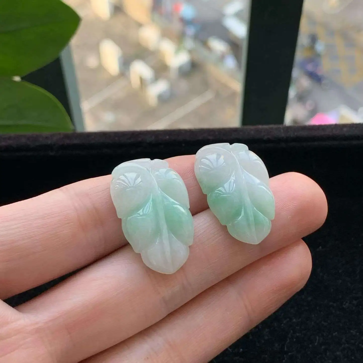 A货天然翡翠冰糯种飘绿一对叶子吊坠重量4.95
3月4日