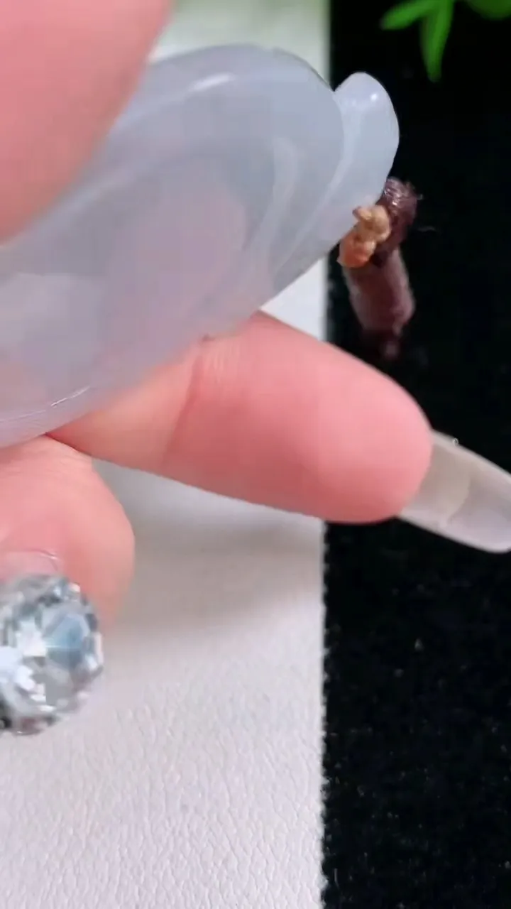 天然A货翡翠麒麟吊坠，尺寸45-35.3-5.5，重量:14.22g
3月4日