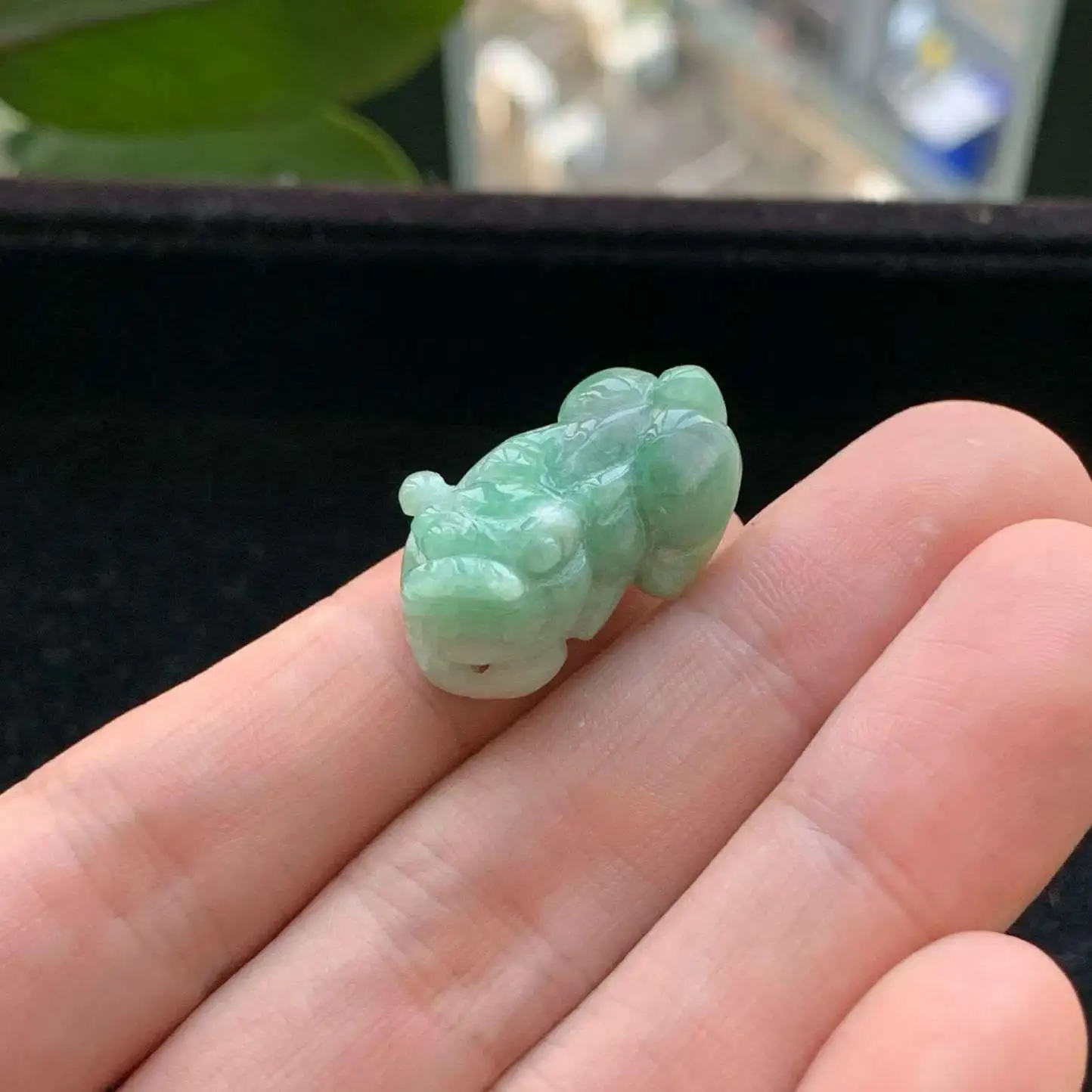 A货天然翡翠冰糯种飘绿貔貅吊坠重量8.64
3月5日