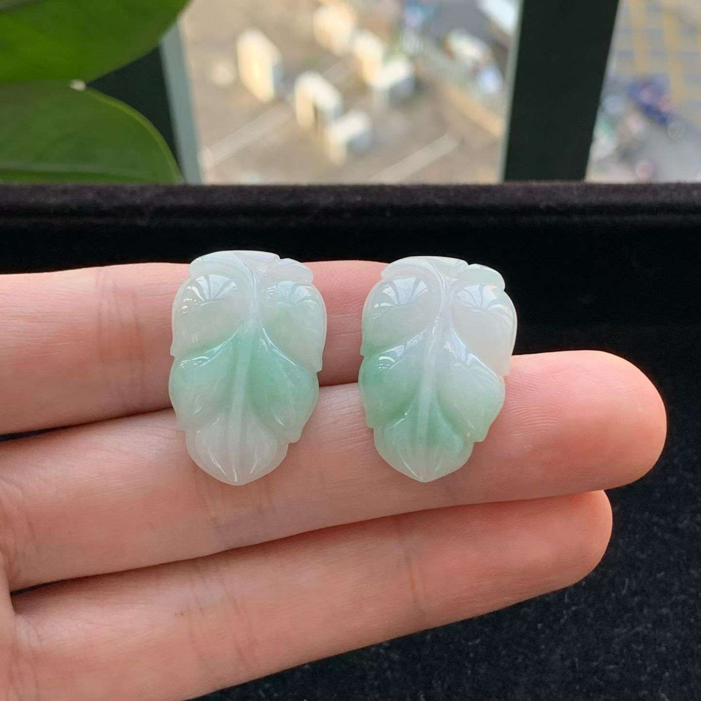 A货天然翡翠冰糯种飘绿一对叶子吊坠重量4.95
3月10日