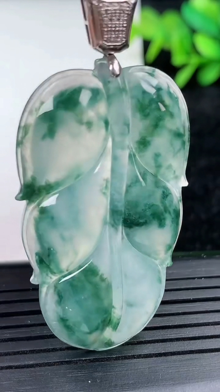 天然A货翡翠种飘花金枝玉叶 叶子吊坠尺寸45.1-26.8-5.4重量:12.47g
3月15日