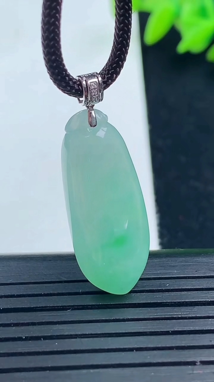 天然A货翡翠福瓜吊坠尺寸27-11.1-6.9重量:3.77g
3月16日