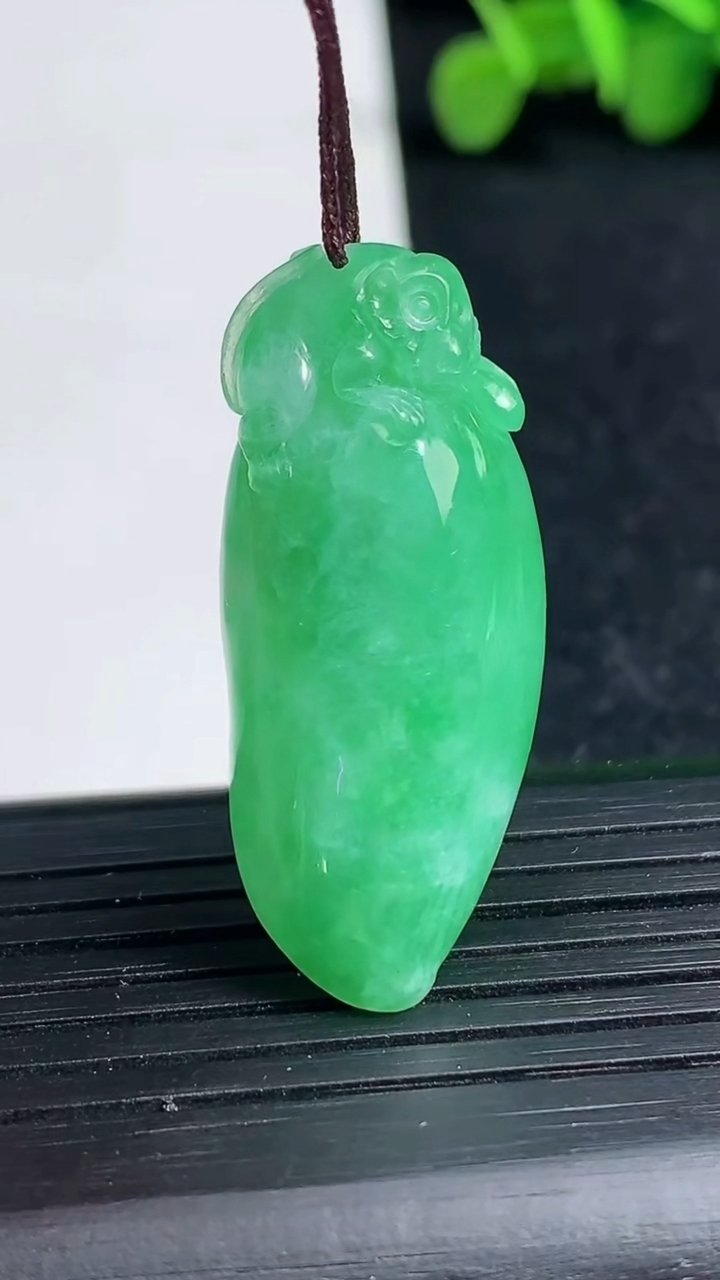 天然A货翡翠福瓜吊坠尺寸35.6-15.2-9.9重量:9.76g
3月19日