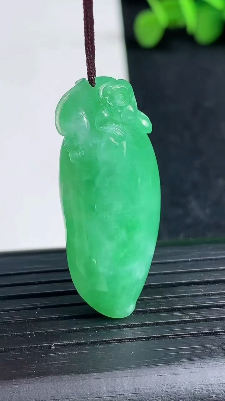 天然A货翡翠福瓜吊坠尺寸35.6-15.2-9.9重量:9.76g
3月19日