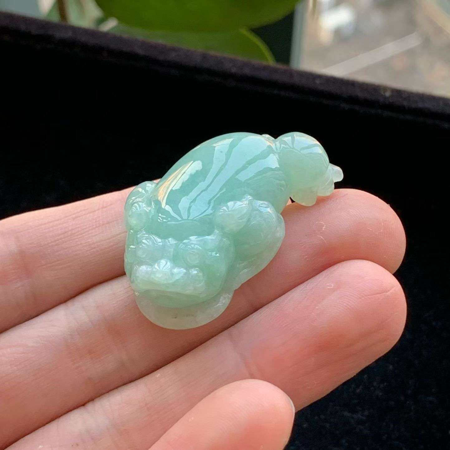 A货天然翡翠冰糯种满绿金蟾吊坠重量22.92
3月20日