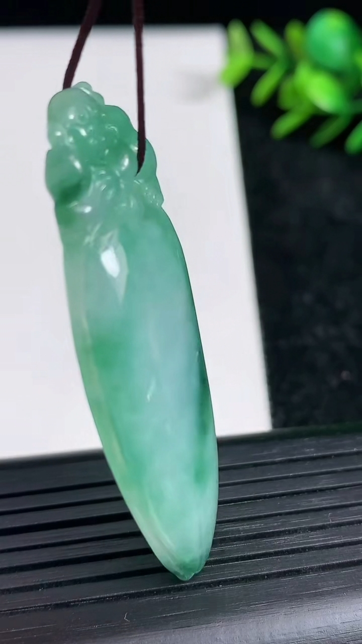 天然A货翡翠福瓜吊坠尺寸52.9-20.3-7.2重量:15.09g
3月21日