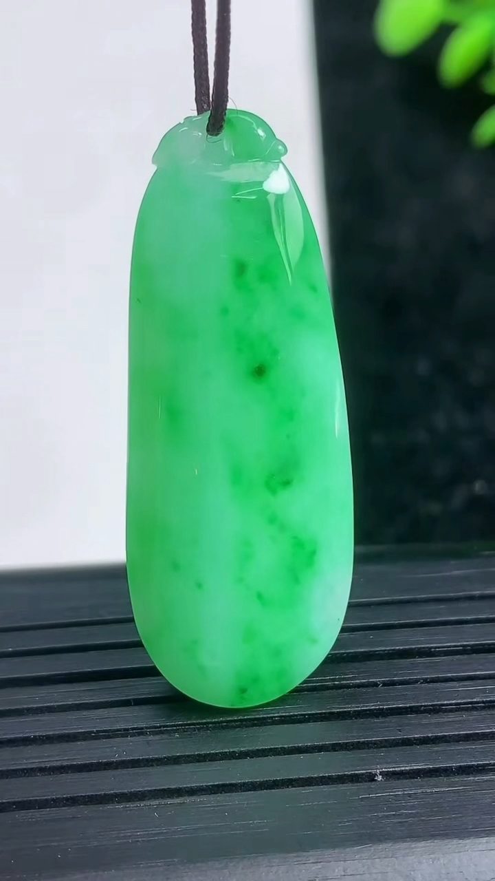 天然A货翡翠福瓜吊坠尺寸40-15-9.2重量:10.17g
3月21日