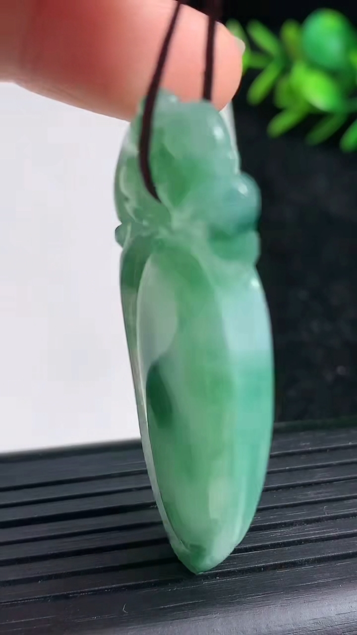 天然A货翡翠福瓜吊坠尺寸52.9-20.3-7.2重量:15.09g
3月21日