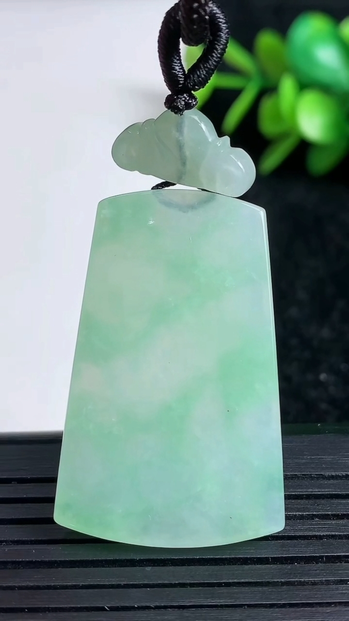 天然A货翡翠无事牌吊坠尺寸37.4-24-3重量:9.95g
3月22日