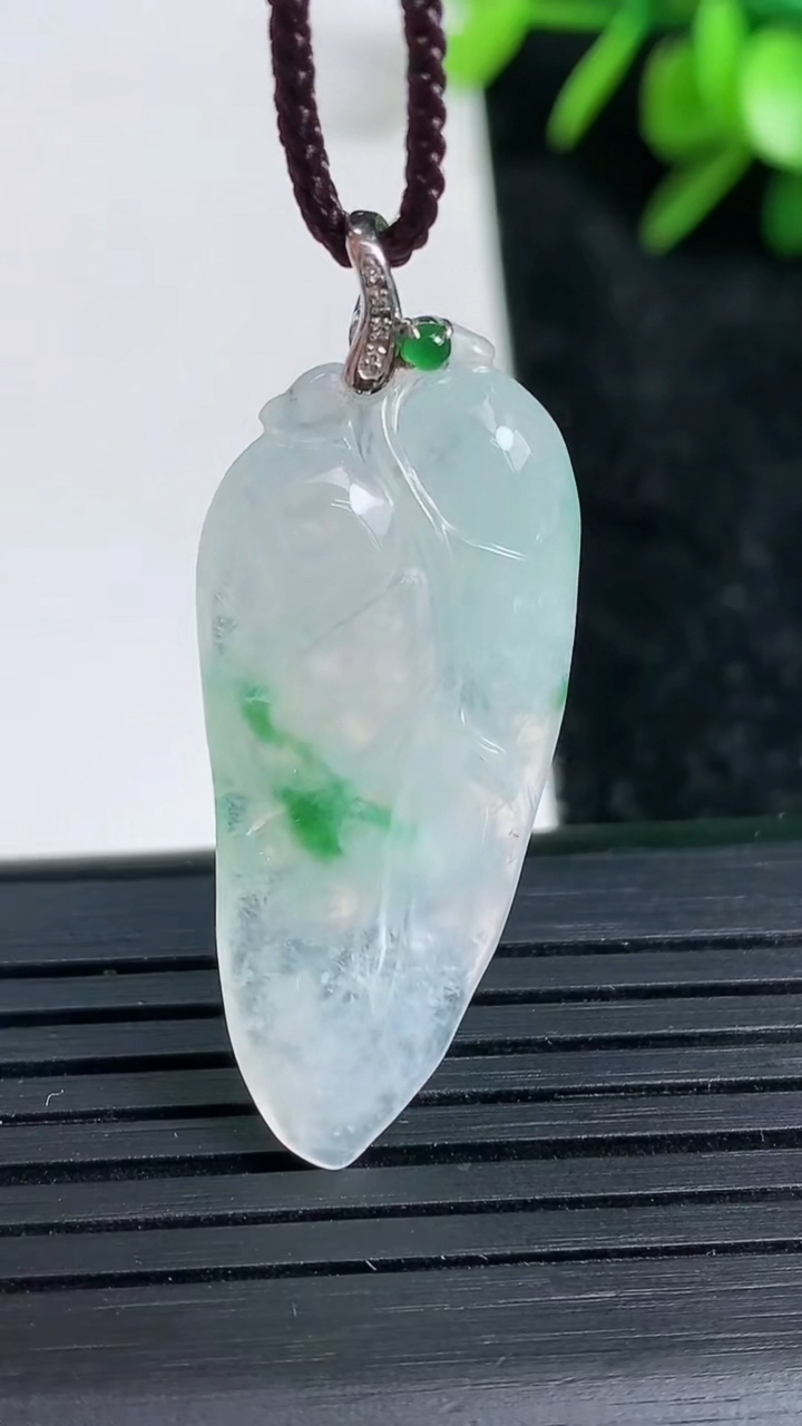 天然A货翡翠金枝玉叶 叶子吊坠尺寸34.8-15.4-4重量:4.40g
3月22日