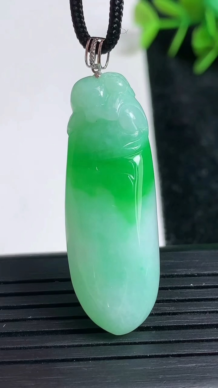 天然A货翡翠福瓜吊坠尺寸38.9-14-8.4重量:9.22g
3月23日