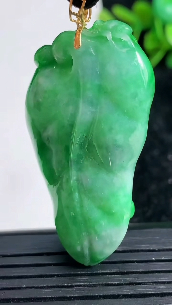 天然A货翡翠金枝玉叶 叶子吊坠尺寸48.5-27-8重量:16.82g
3月23日