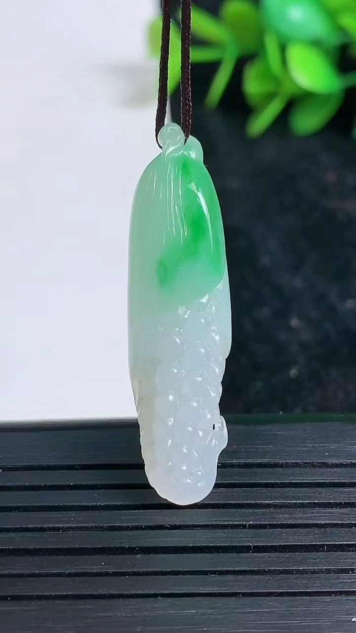 天然A货翡翠玉米吊坠尺寸39.3-11.3-8.8重量:6.08g
3月23日