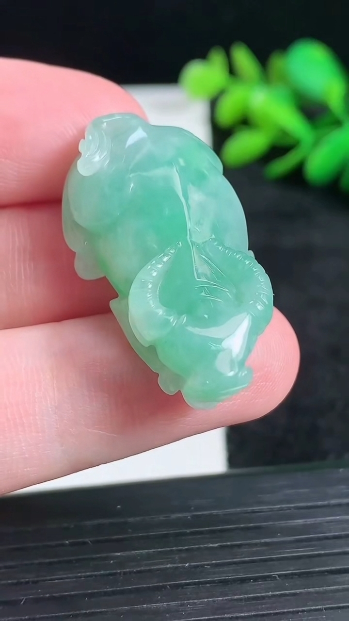 天然A货翡翠生肖牛吊坠尺寸33.8-18.5-10.9重量:11.43g
3月23日