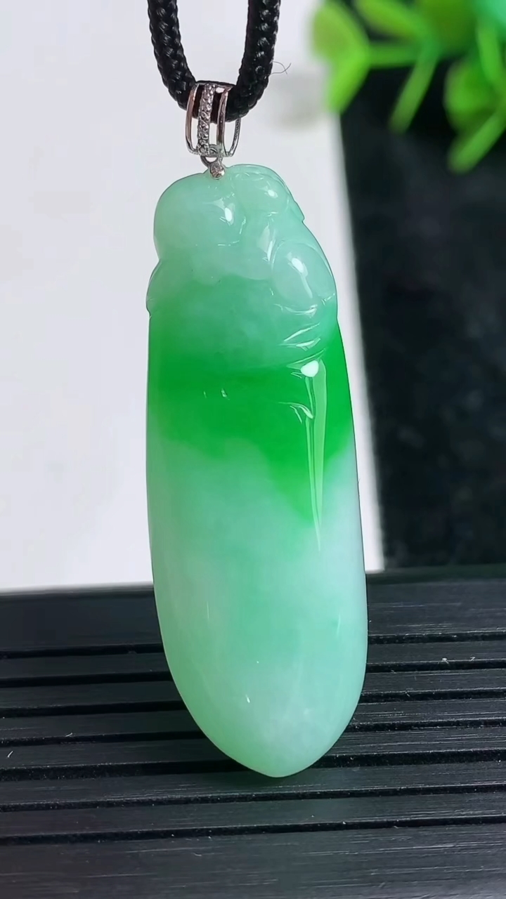 天然A货翡翠福瓜吊坠尺寸38.9-14-8.4重量:9.22g
3月23日