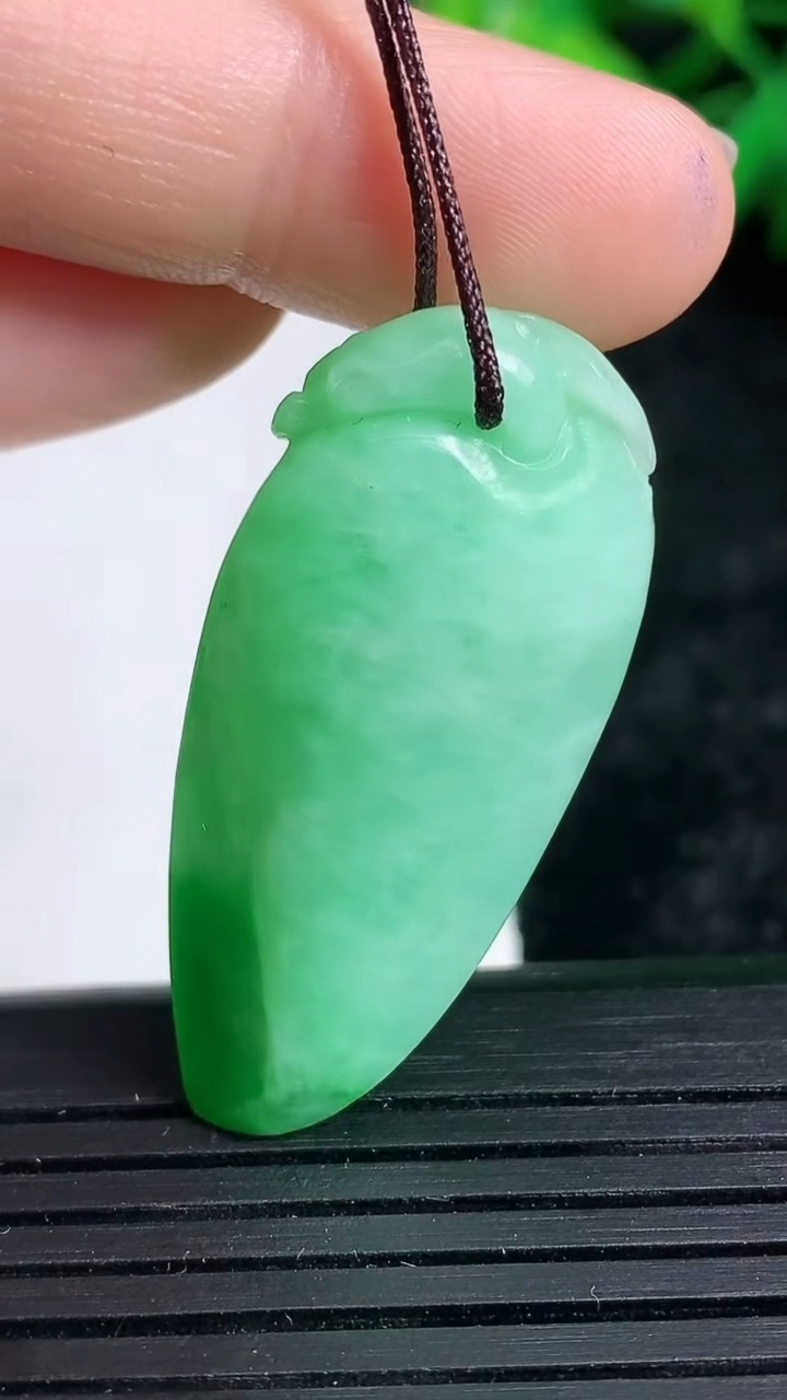 天然A货翡翠福瓜吊坠尺寸37.2-17.6-11.3重量:10.93g
3月24日