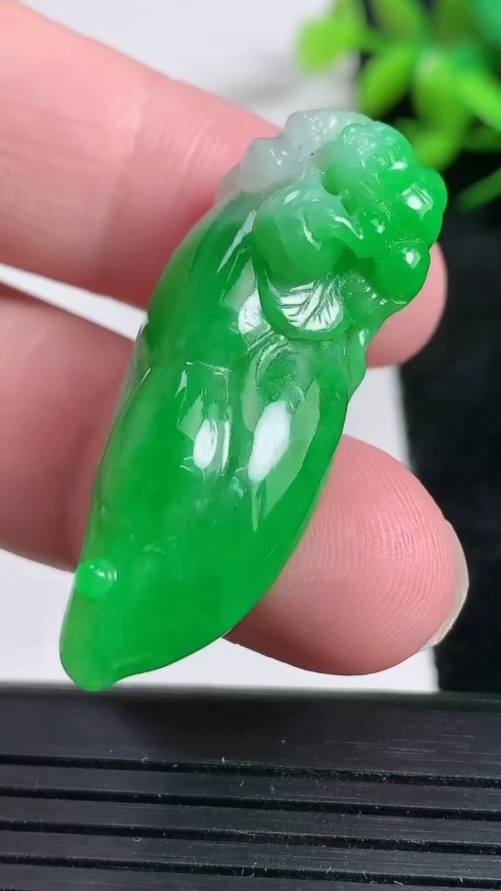 天然A货翡翠福瓜吊坠尺寸39.7-19.4-12.4重量:13.11g
3月24日