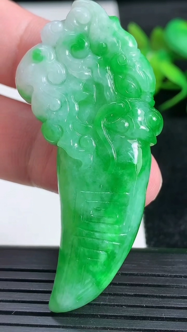 天然A货翡翠龙牙吊坠尺寸58.8-27-11.7重量:31.93g
3月24日