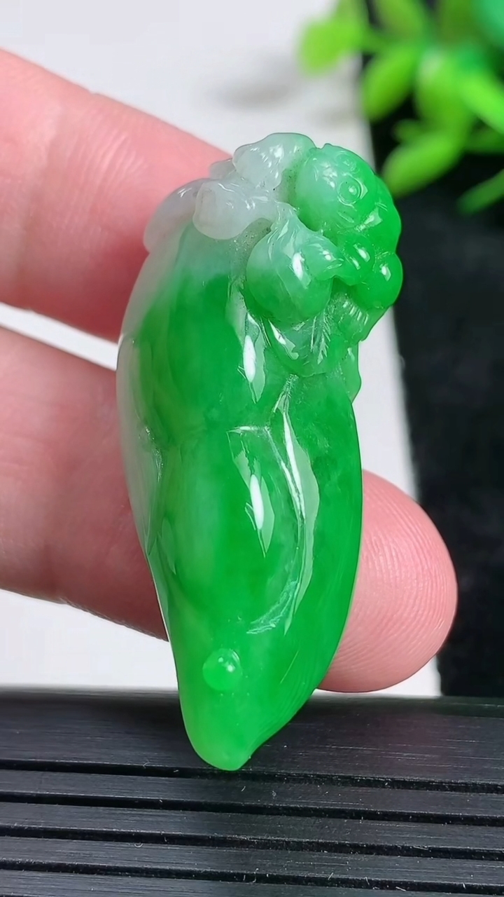 天然A货翡翠福瓜吊坠尺寸39.7-19.4-12.4重量:13.11g
3月24日
