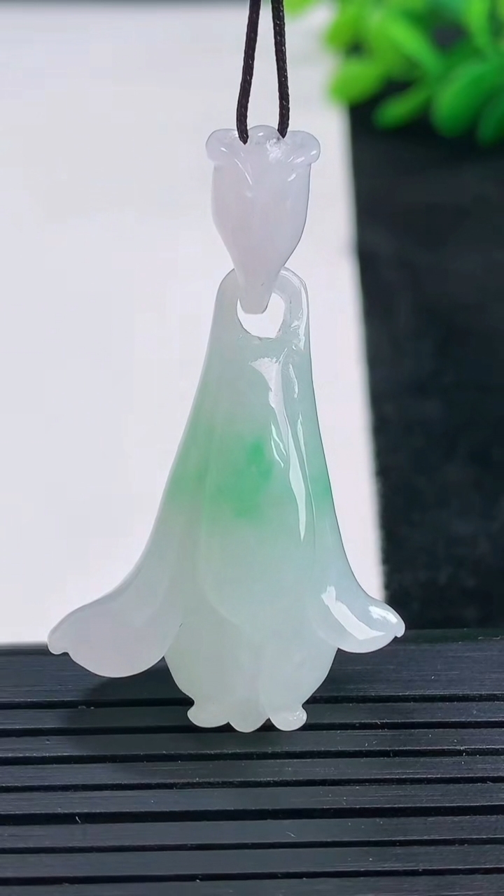 天然A货翡翠玉兰花吊坠尺寸43-26.8-12.7重量:11.81g
3月25日