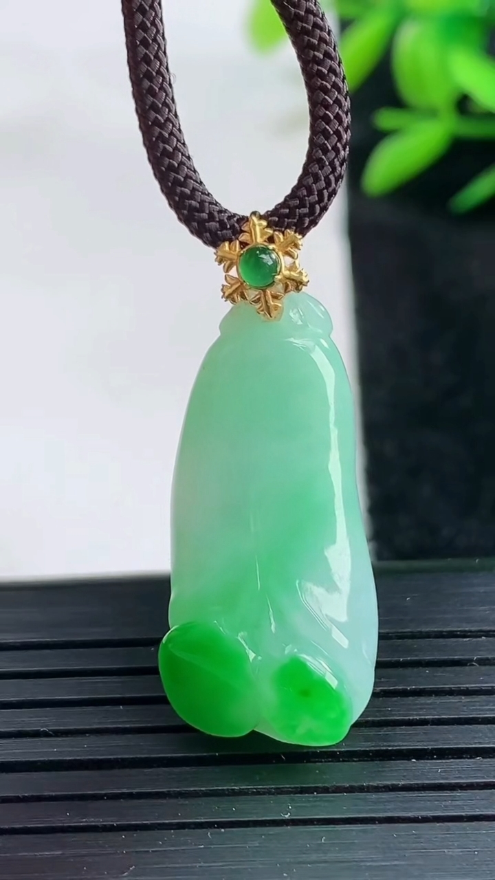 天然A货翡翠玉兰花吊坠尺寸28.5-12.8-8.1重量:5.07g
3月25日