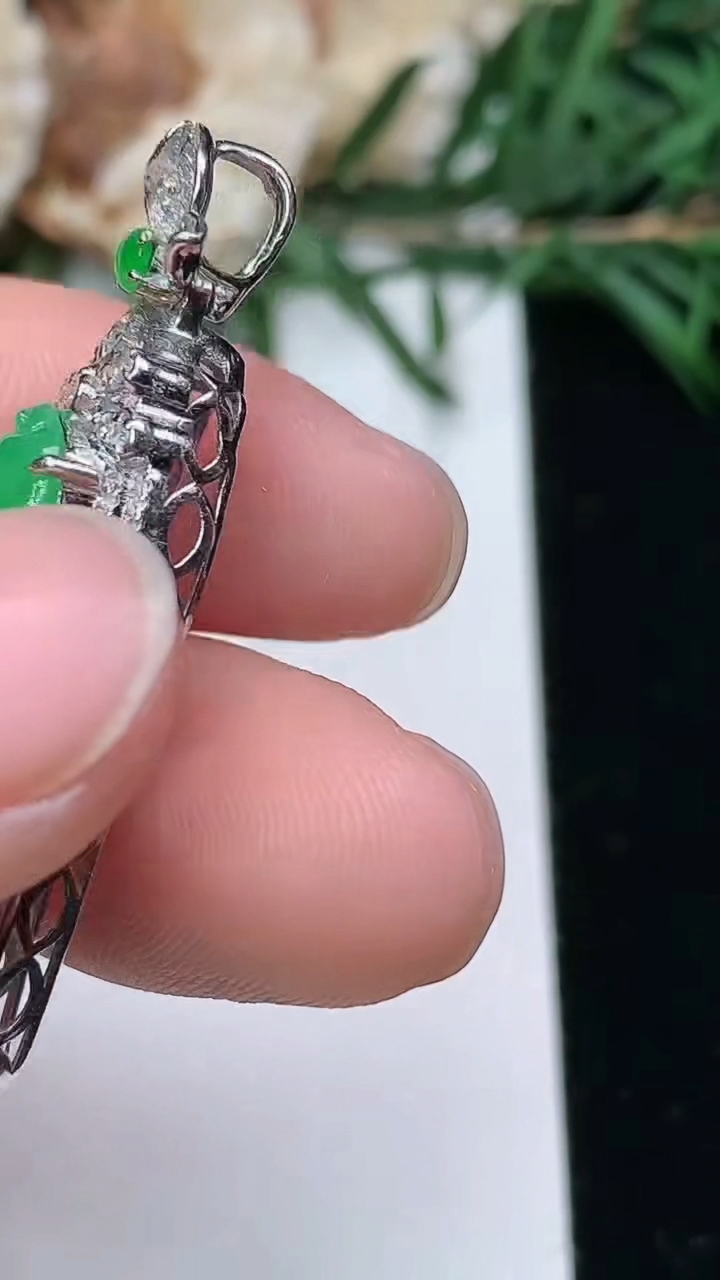 天然A货翡翠福瓜吊坠，尺寸37.3-10-8.4，裸石24-6.8，重量:4.02g
3月25日