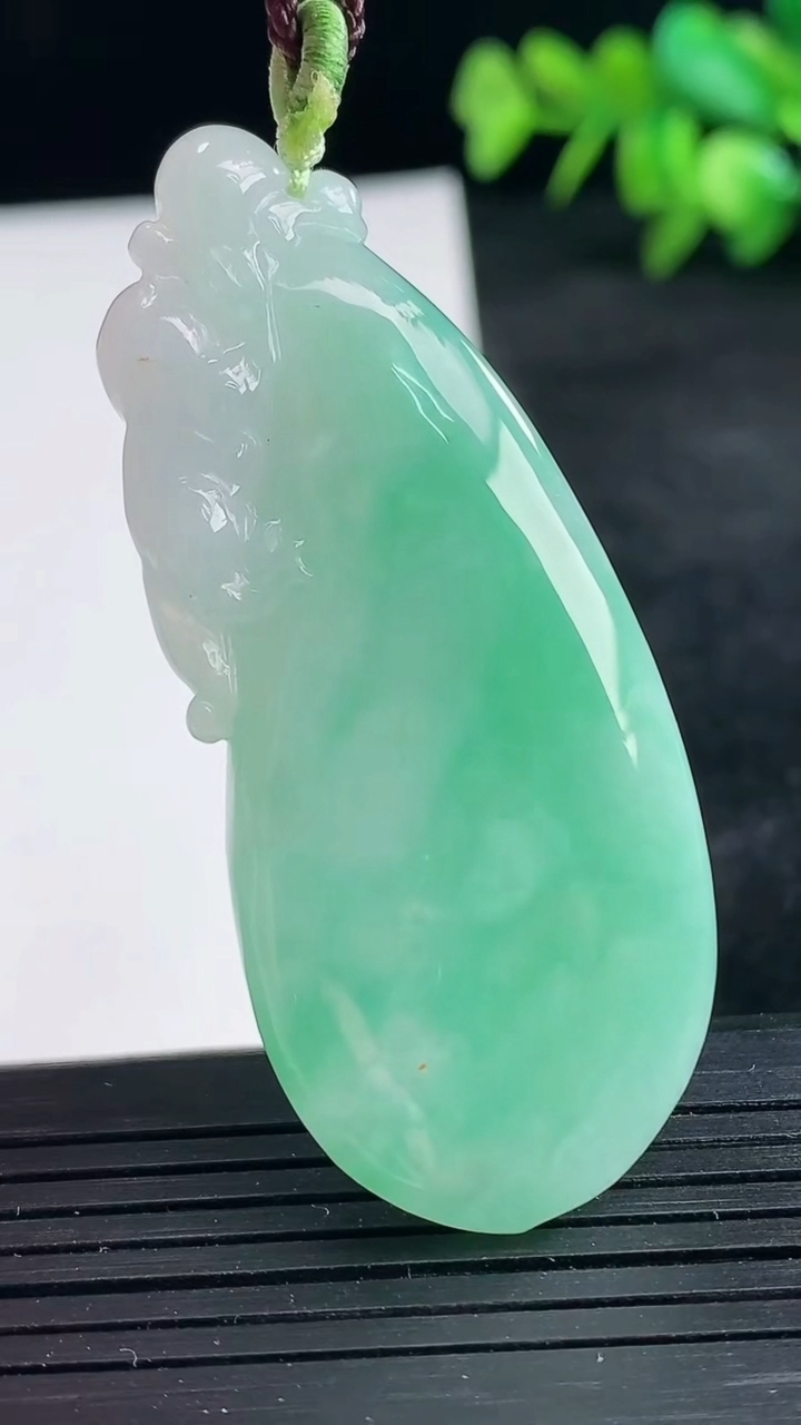 天然A货翡翠福瓜吊坠尺寸56.1-24-7.6重量:22.39g
3月25日