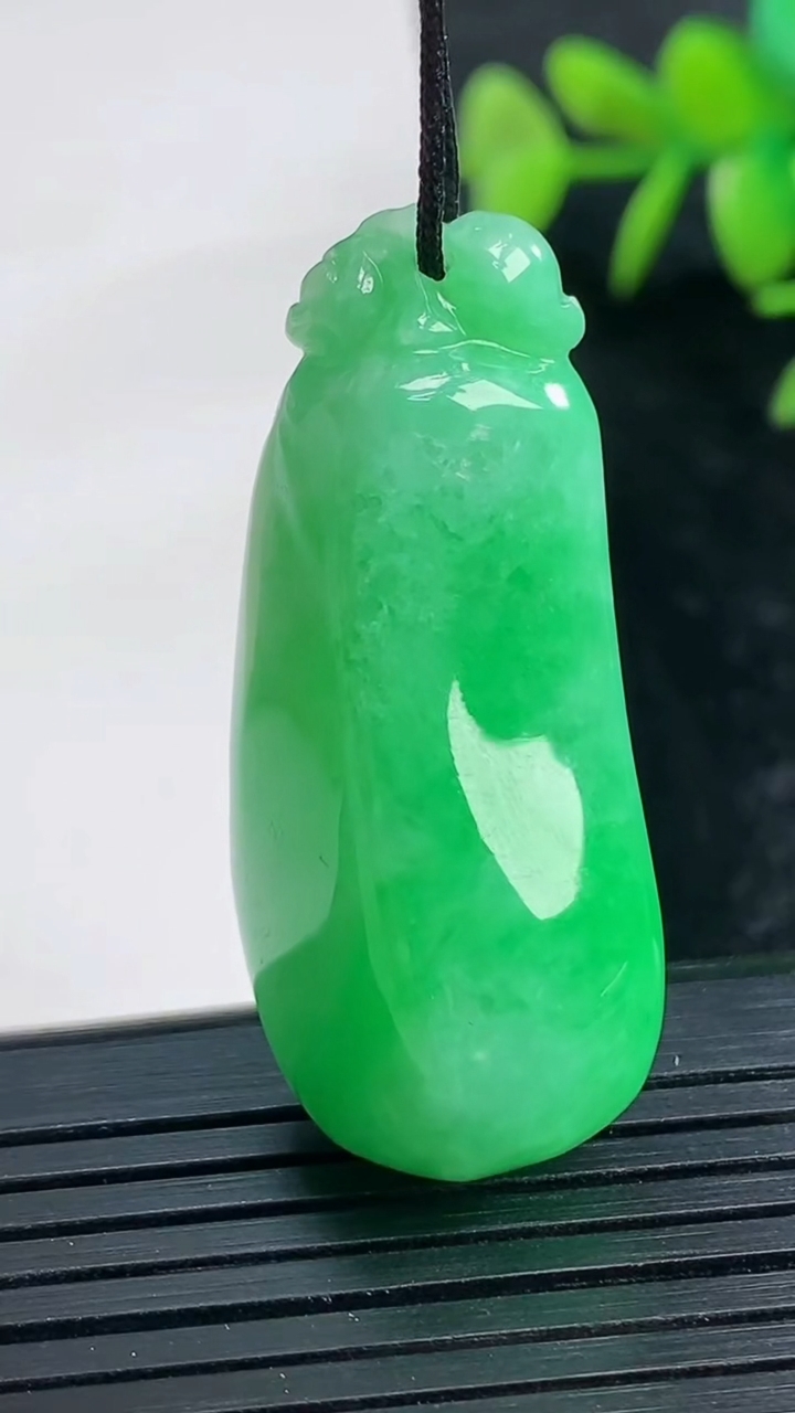 天然A货翡翠福瓜吊坠尺寸39.8-17.5-12.4重量:14.61g
3月28日